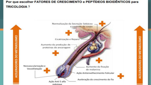 Curso Prescrição Terapia Capilar Syma Instituto