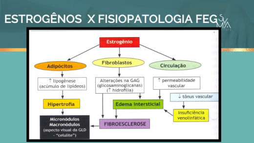 Curso Prescrição Emagrecimento Syma Instituto