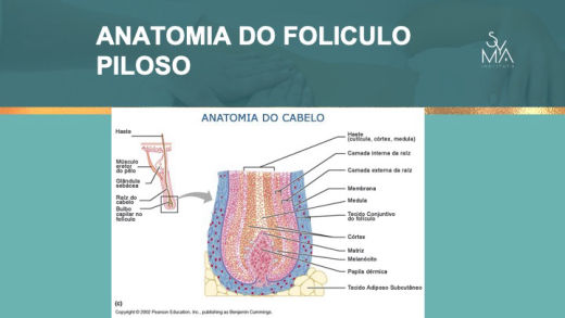 Curso Terapia Capilar Syma Instituto